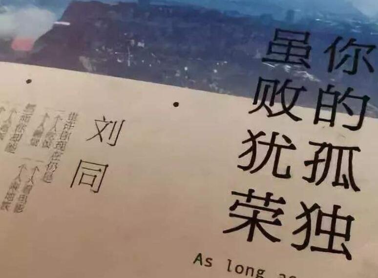 《你的孤独，虽败犹荣》.jpg