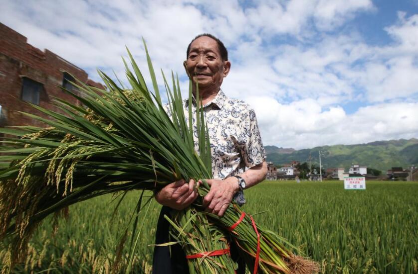 致敬袁隆平.jpg