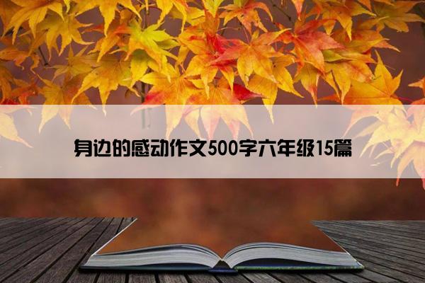 身边的感动作文500字六年级15篇