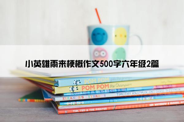 小英雄雨来梗概作文500字六年级2篇