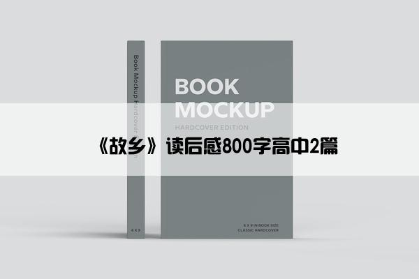 《故乡》读后感800字高中2篇