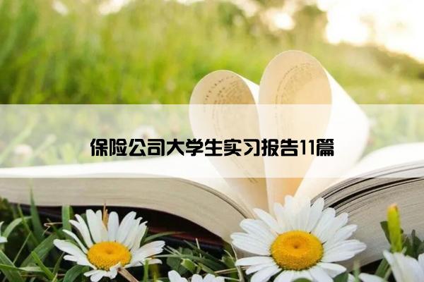 保险公司大学生实习报告11篇