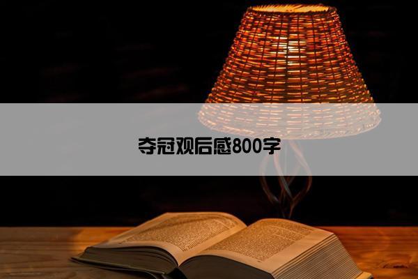 夺冠观后感800字