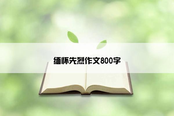 缅怀先烈作文800字