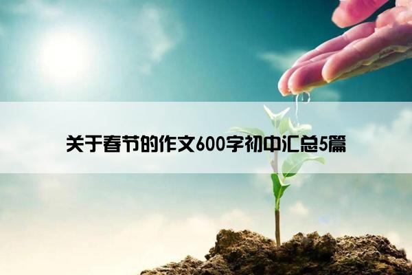 关于春节的作文600字初中汇总5篇