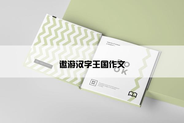 遨游汉字王国作文