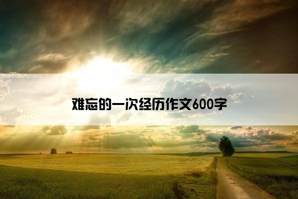 难忘的一次经历作文600字