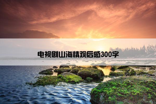 电视剧山海情观后感300字